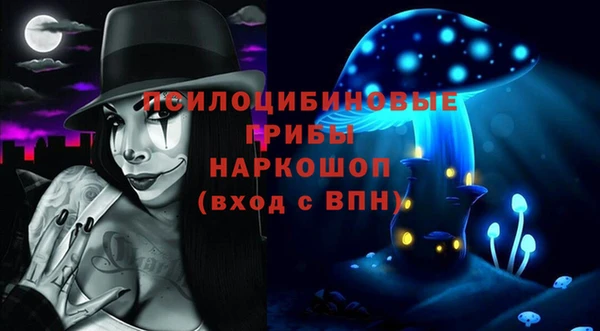 дмт Касимов