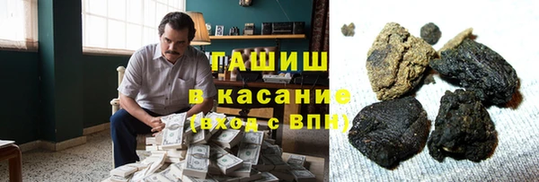 индика Карпинск
