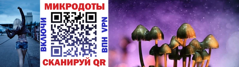 дарнет шоп  Новотитаровская  Галлюциногенные грибы Cubensis 